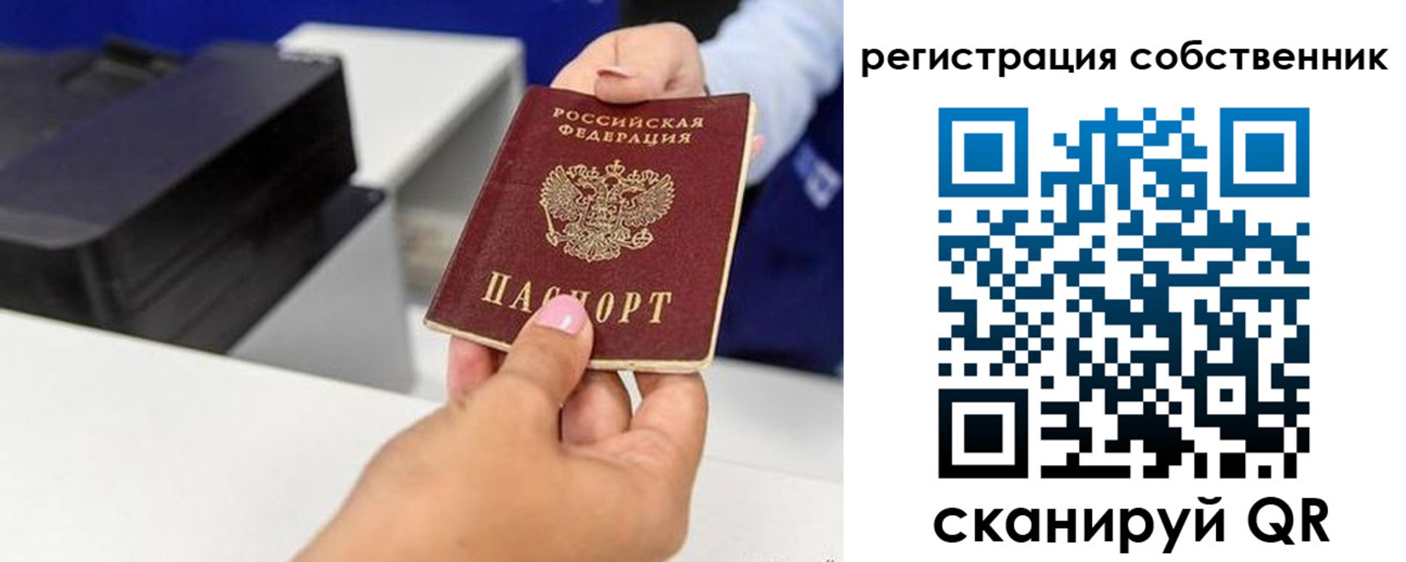 прописка для школы в Домодедово